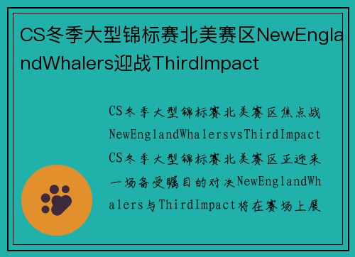 CS冬季大型锦标赛北美赛区NewEnglandWhalers迎战ThirdImpact